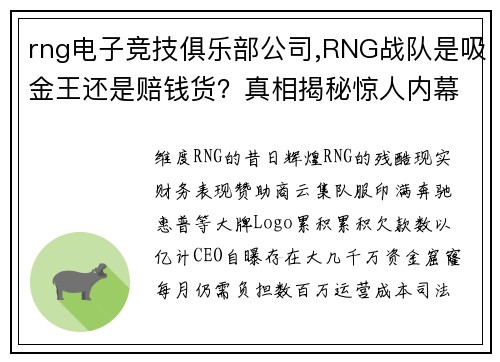 rng电子竞技俱乐部公司,RNG战队是吸金王还是赔钱货？真相揭秘惊人内幕